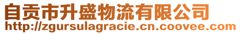 自貢市升盛物流有限公司