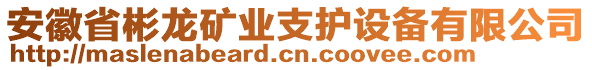 安徽省彬龍礦業(yè)支護(hù)設(shè)備有限公司