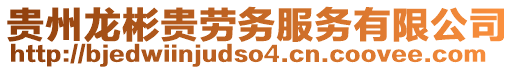 貴州龍彬貴勞務(wù)服務(wù)有限公司