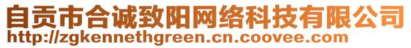 自貢市合誠致陽網(wǎng)絡(luò)科技有限公司