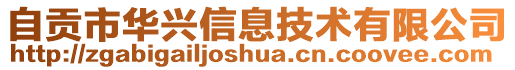 自貢市華興信息技術有限公司