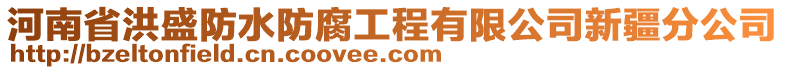河南省洪盛防水防腐工程有限公司新疆分公司