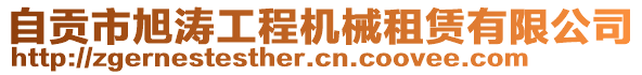 自貢市旭濤工程機(jī)械租賃有限公司