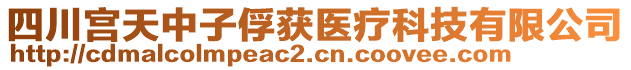 四川宮天中子俘獲醫(yī)療科技有限公司