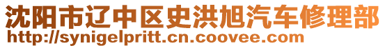 沈阳市辽中区史洪旭汽车修理部