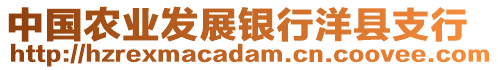 中國農(nóng)業(yè)發(fā)展銀行洋縣支行