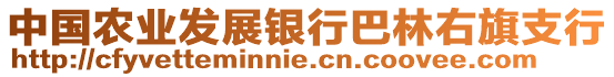 中國農(nóng)業(yè)發(fā)展銀行巴林右旗支行