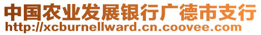 中國(guó)農(nóng)業(yè)發(fā)展銀行廣德市支行