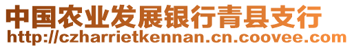 中國農(nóng)業(yè)發(fā)展銀行青縣支行