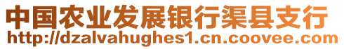 中國農(nóng)業(yè)發(fā)展銀行渠縣支行