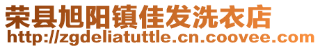 榮縣旭陽鎮佳發洗衣店