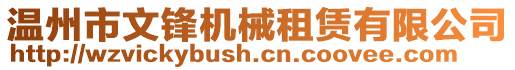 溫州市文鋒機(jī)械租賃有限公司