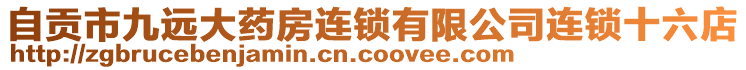 自貢市九遠大藥房連鎖有限公司連鎖十六店