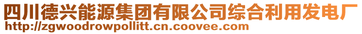 四川德興能源集團(tuán)有限公司綜合利用發(fā)電廠