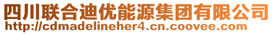 四川聯(lián)合迪優(yōu)能源集團有限公司