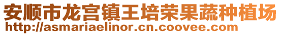 安順市龍宮鎮(zhèn)王培榮果蔬種植場(chǎng)