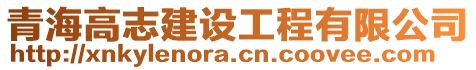 青海高志建設(shè)工程有限公司