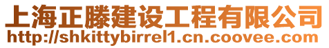 上海正滕建設(shè)工程有限公司