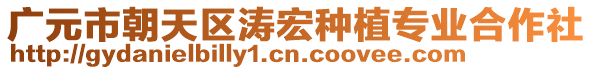 廣元市朝天區(qū)濤宏種植專業(yè)合作社