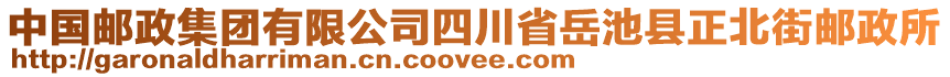 中國郵政集團(tuán)有限公司四川省岳池縣正北街郵政所
