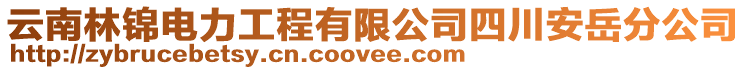 云南林錦電力工程有限公司四川安岳分公司