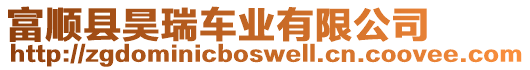 富順縣昊瑞車業(yè)有限公司