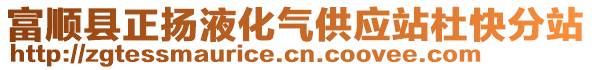 富順縣正揚液化氣供應站杜快分站