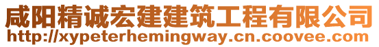 咸陽精誠宏建建筑工程有限公司