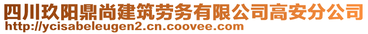 四川玖陽鼎尚建筑勞務(wù)有限公司高安分公司