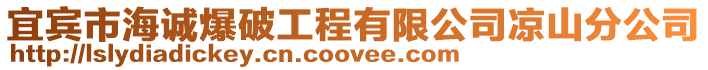 宜賓市海誠爆破工程有限公司涼山分公司