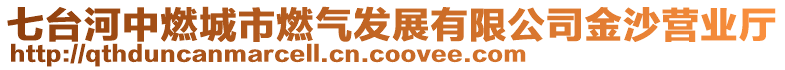 七台河中燃城市燃气发展有限公司金沙营业厅