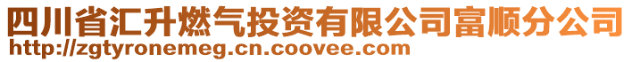 四川省匯升燃氣投資有限公司富順分公司