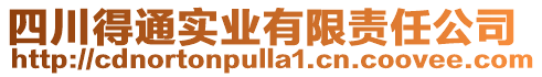 四川得通實(shí)業(yè)有限責(zé)任公司