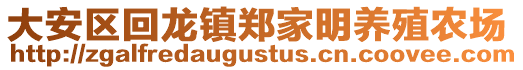 大安區(qū)回龍鎮(zhèn)鄭家明養(yǎng)殖農(nóng)場