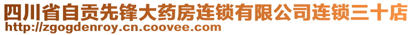 四川省自貢先鋒大藥房連鎖有限公司連鎖三十店