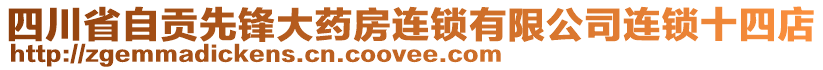 四川省自貢先鋒大藥房連鎖有限公司連鎖十四店