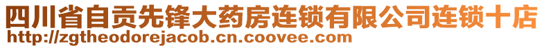 四川省自貢先鋒大藥房連鎖有限公司連鎖十店