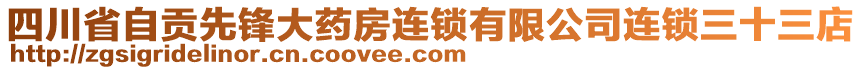 四川省自貢先鋒大藥房連鎖有限公司連鎖三十三店