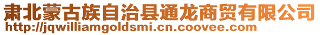 肃北蒙古族自治县通龙商贸有限公司