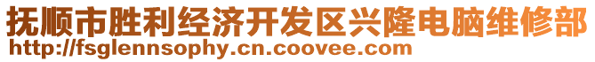 撫順市勝利經濟開發區興隆電腦維修部