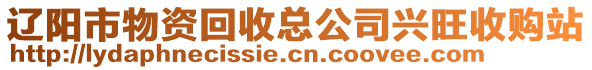 遼陽(yáng)市物資回收總公司興旺收購(gòu)站