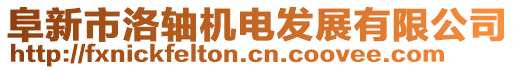 阜新市洛軸機(jī)電發(fā)展有限公司