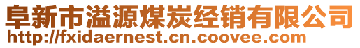 阜新市溢源煤炭經(jīng)銷有限公司