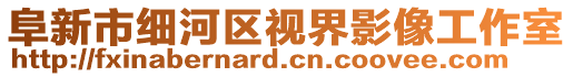 阜新市細(xì)河區(qū)視界影像工作室