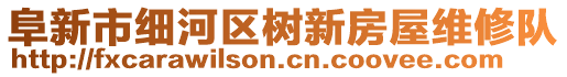 阜新市細河區(qū)樹新房屋維修隊