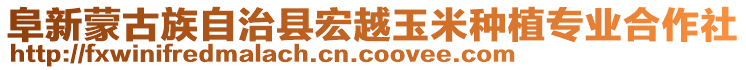 阜新蒙古族自治县宏越玉米种植专业合作社