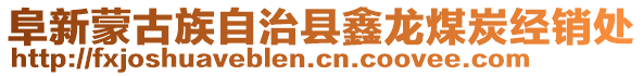 阜新蒙古族自治縣鑫龍煤炭經(jīng)銷處