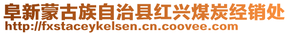 阜新蒙古族自治縣紅興煤炭經(jīng)銷處