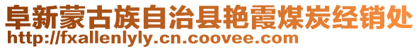 阜新蒙古族自治縣艷霞煤炭經(jīng)銷處