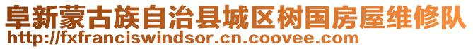 阜新蒙古族自治縣城區(qū)樹國房屋維修隊